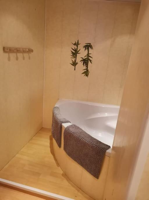 Maison Vosgienne 2 A 8 Personnes Rochesson Екстериор снимка